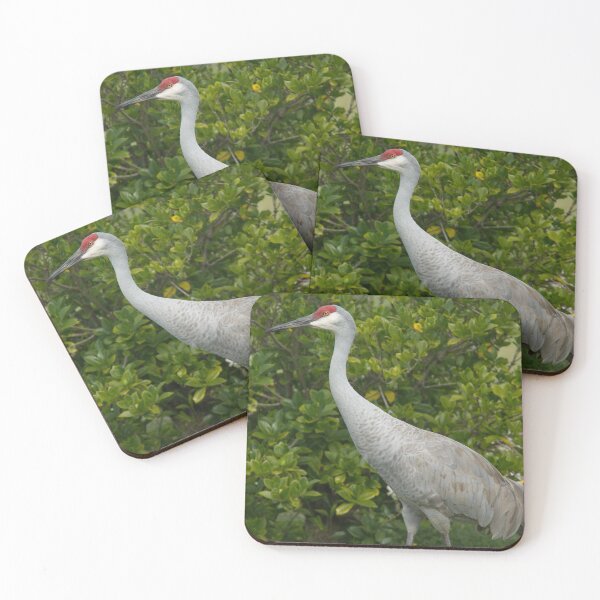 Item preview, Sandhill Crane Bird Photograph designed and sold by ValeriesGallery.