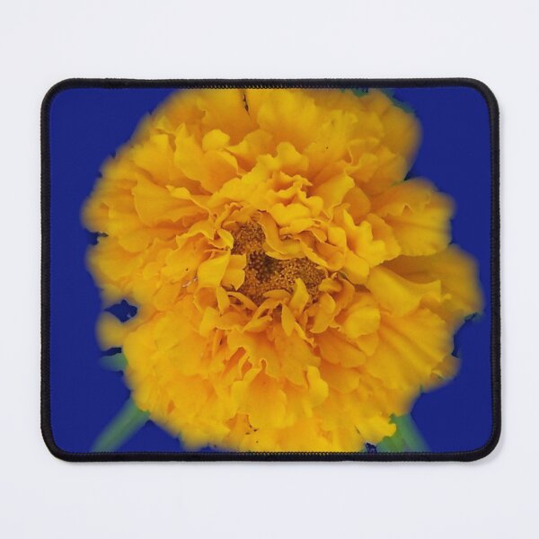 Item preview, One Orange Marigold Photo Background removed designed and sold by DianeBP.