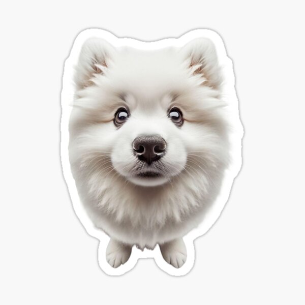 Item preview, Cute and fluffy american eskimo puppy designed and sold by eye_contact.