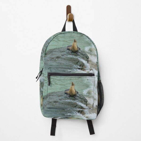 Item preview, Sea Lion Sits on Stone designed and sold by SafariByMarisa.