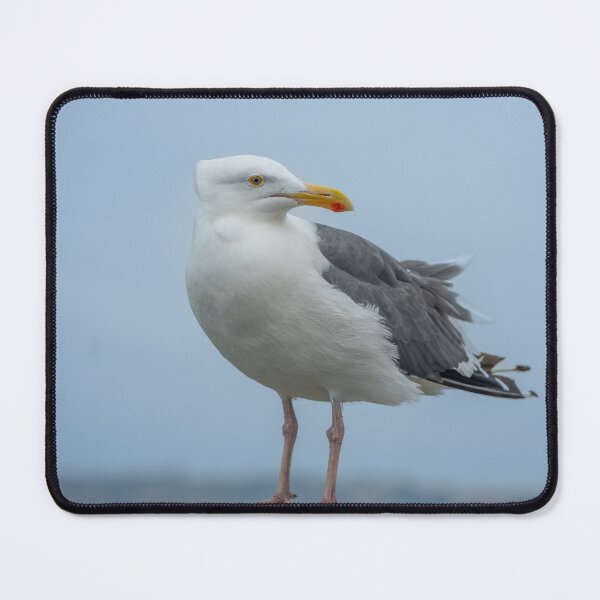 Item preview, Gull in the Wind designed and sold by SafariByMarisa.