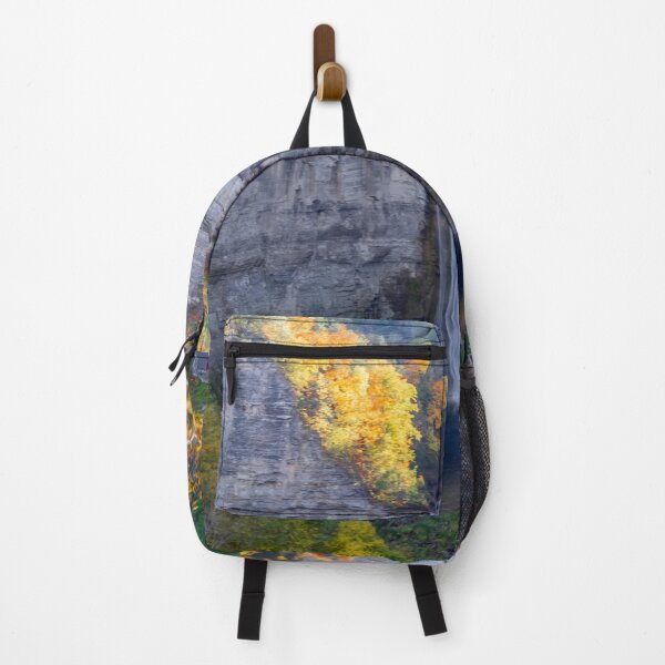 Item preview, Taughannock Falls designed and sold by Alla Gill.