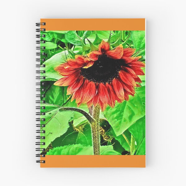 Item preview, bright red sunflower designed and sold by Nicholes  Dream Visions.