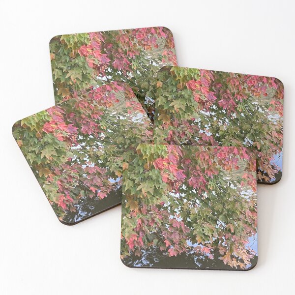 Item preview, Changing Leaves over the Pond designed and sold by CJRPics.