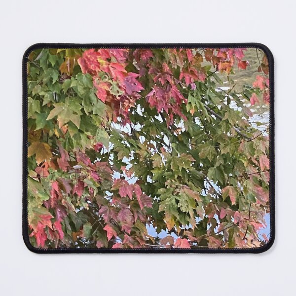 Item preview, Changing Leaves over the Pond designed and sold by CJRPics.