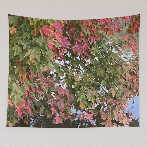 Item preview, Changing Leaves over the Pond designed and sold by CJRPics.