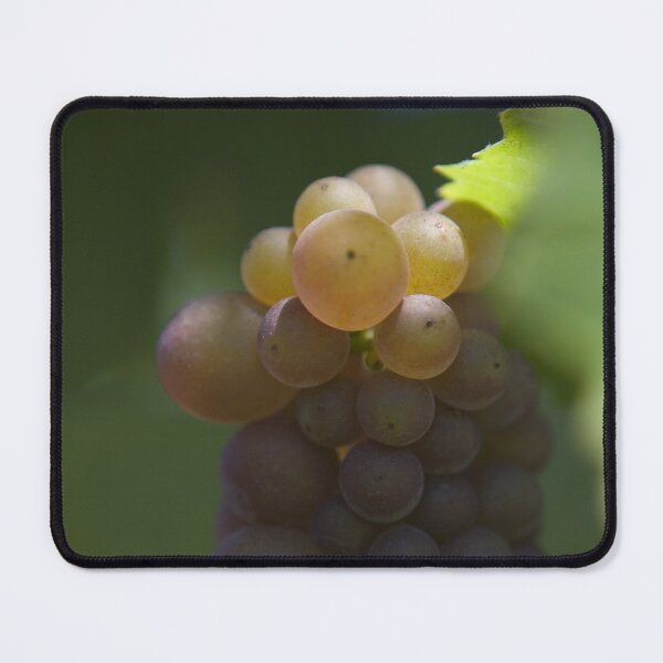 Item preview, Pinot Gris designed and sold by Cathy L. Gregg.