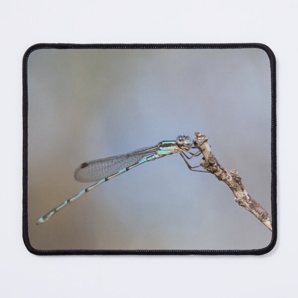 Item preview, Dragonfly designed and sold by Jacquiamber.