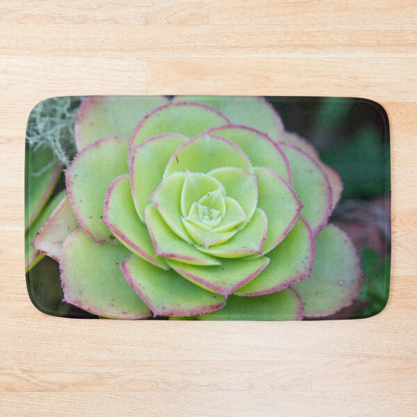 Item preview, Succulent designed and sold by Jacquiamber.
