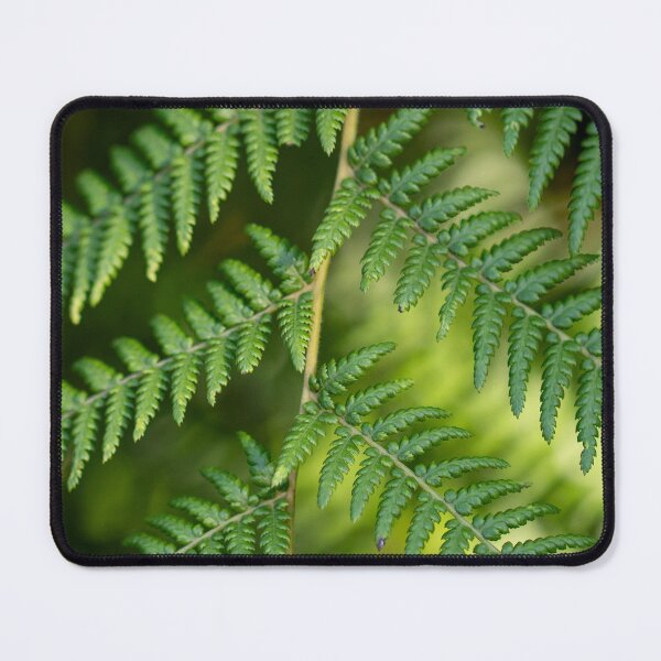 Item preview, Fern 9 (AU) designed and sold by Jacquiamber.