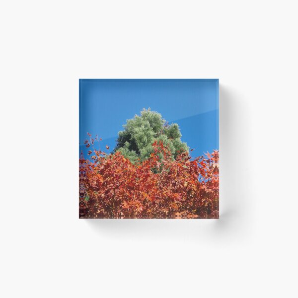 Item preview, Red and Green Plants in the Fall designed and sold by Gaboro.
