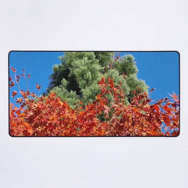 Item preview, Red and Green Plants in the Fall designed and sold by Gaboro.