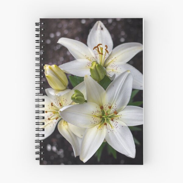 Item preview, Lillies in White designed and sold by JC-Photography.
