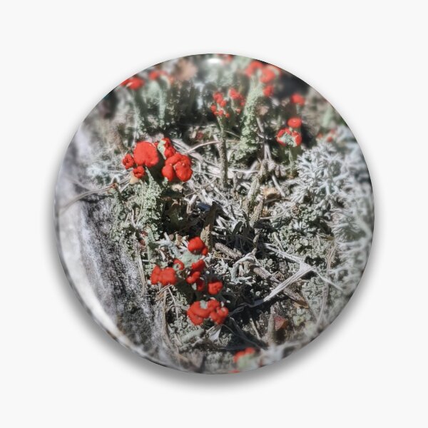 Item preview, Moss on wood designed and sold by luvalwayshoots.