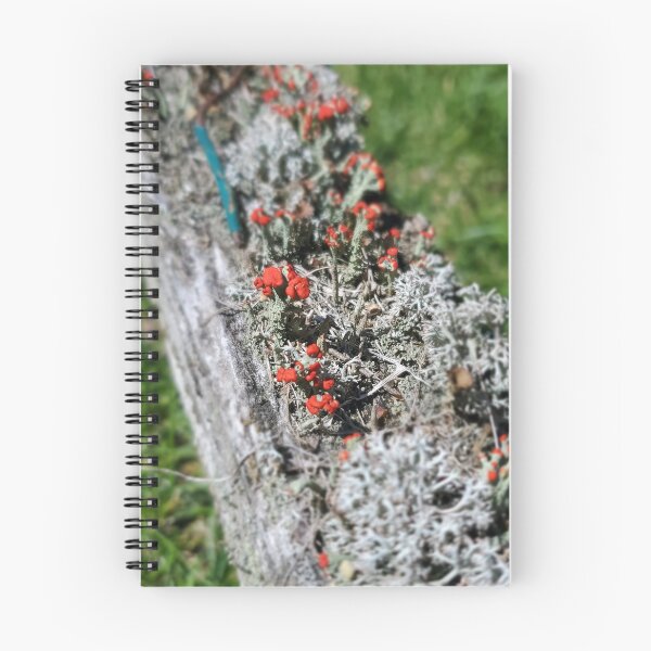Item preview, Moss on wood designed and sold by luvalwayshoots.