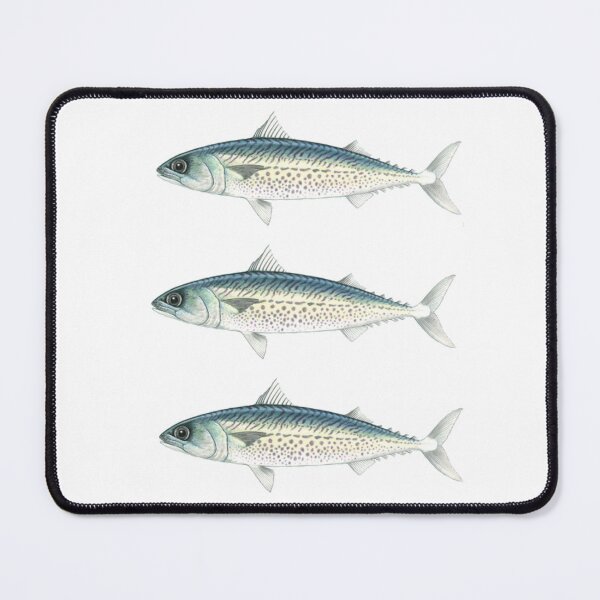 Item preview, Triple Slimy Mackerals designed and sold by Reelyfishing.