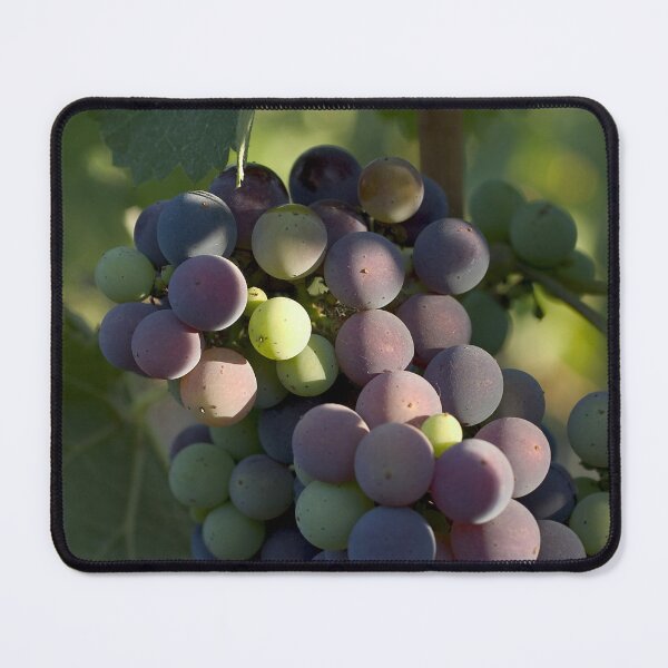 Item preview, Verasion designed and sold by Cathy L. Gregg.