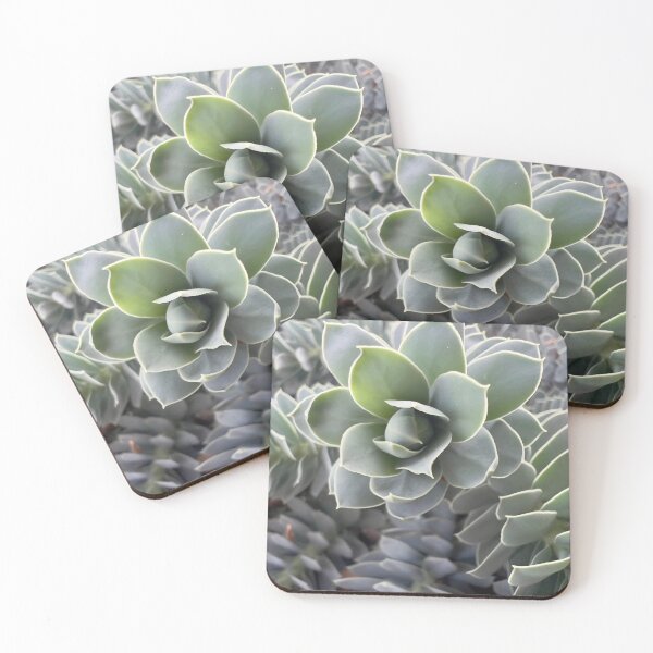 Item preview, Myrtle Spurge designed and sold by Betsy Phillips.