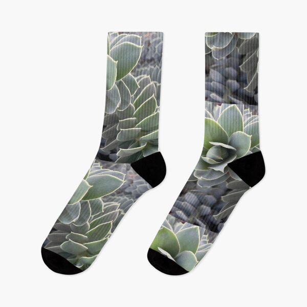 Item preview, Myrtle Spurge designed and sold by Betsy Phillips.