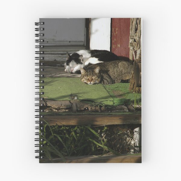 Item preview, Cats in Harmony designed and sold by Cathy L. Gregg.