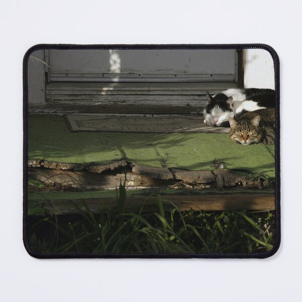 Item preview, Cats in Harmony designed and sold by Cathy L. Gregg.