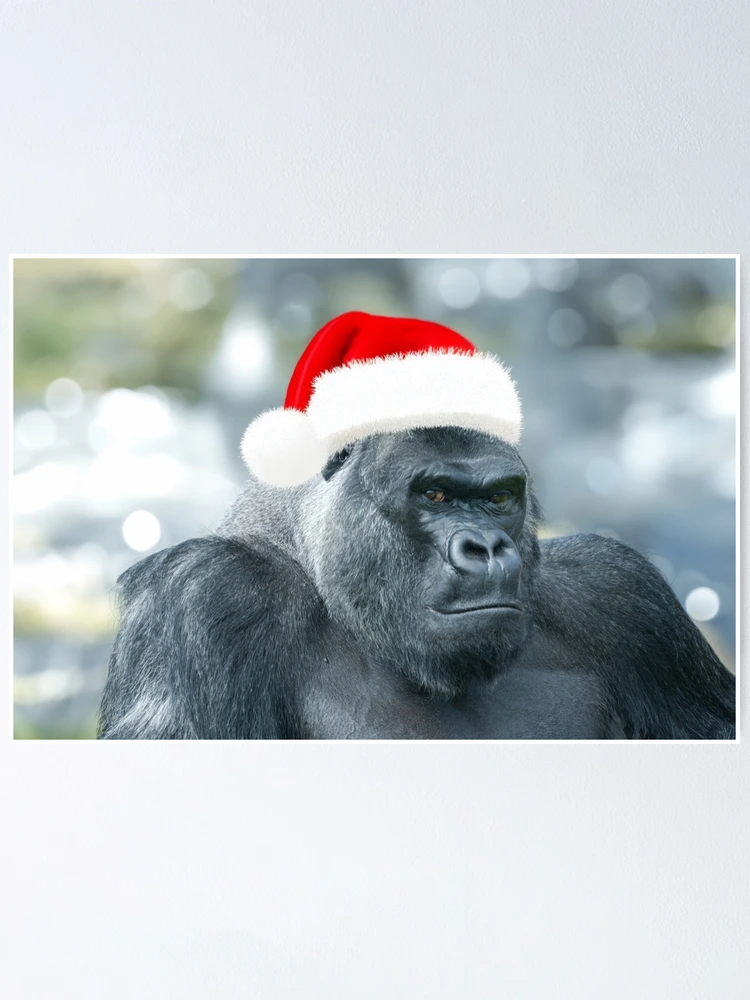 fposter,small,wall_texture,