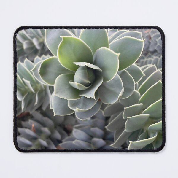 Item preview, Myrtle Spurge designed and sold by Betsy Phillips.