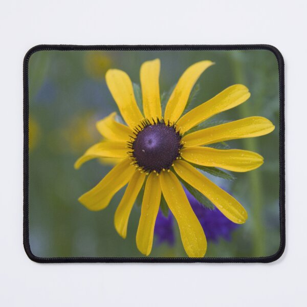 Item preview, Black Eyed Susan designed and sold by Cathy L. Gregg.
