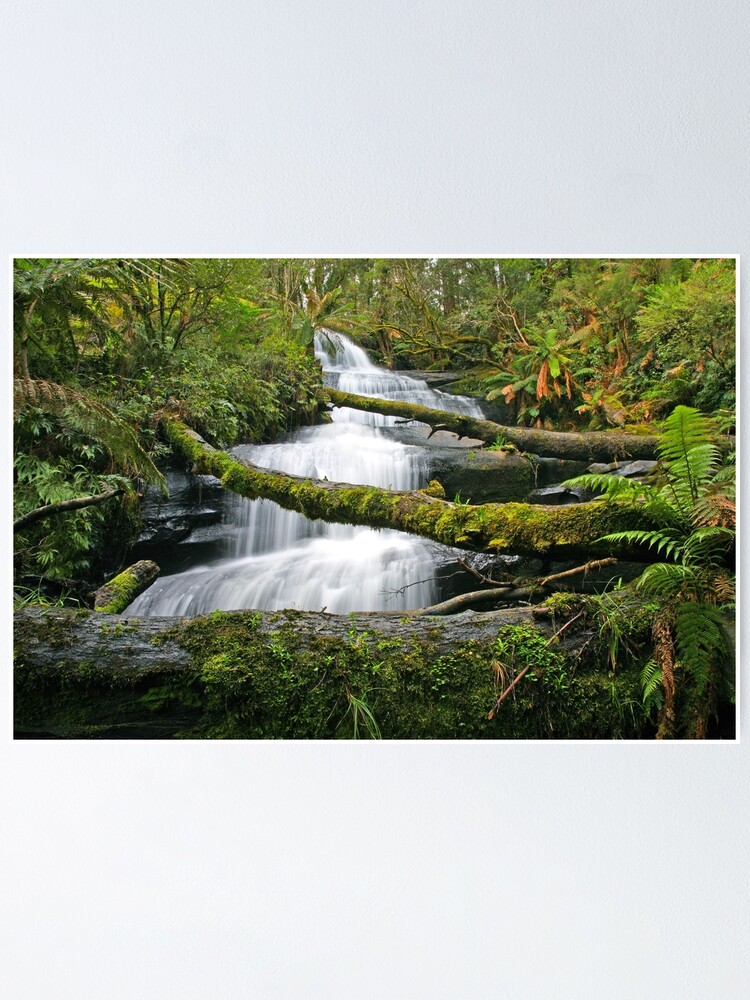 Thumbnail 1 of 3, Poster, Triplet Falls, Otways, Australia designed and sold by Chockstone.