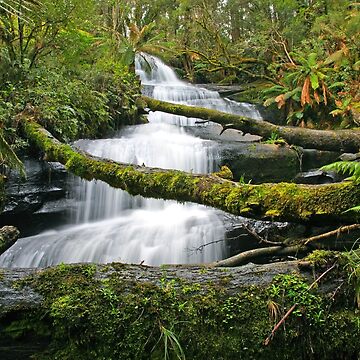 Artwork thumbnail, Triplet Falls, Otways, Australia by Michael Boniwell