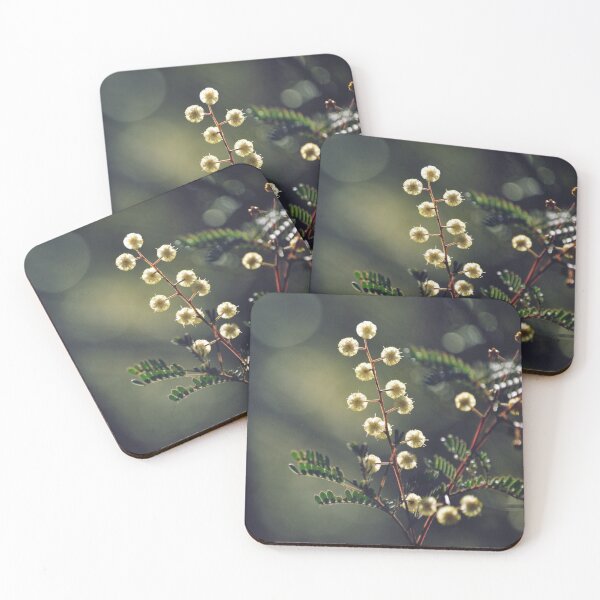 Artikelvorschau, Sonnenschein Wattle entworfen und verkauft von Cloudlingpics.