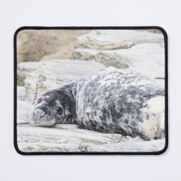 Item preview, Grey Seal Pup designed and sold by kathleenjean.