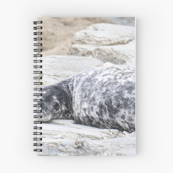 Item preview,  Grey Seal Pup designed and sold by kathleenjean.