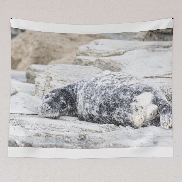 Item preview,  Grey Seal Pup designed and sold by kathleenjean.