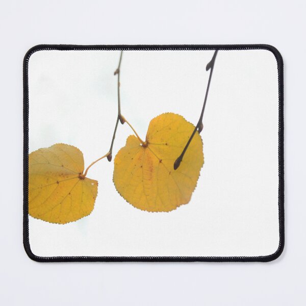 Item preview, Yellow autumn leaves on white background designed and sold by olena2552.