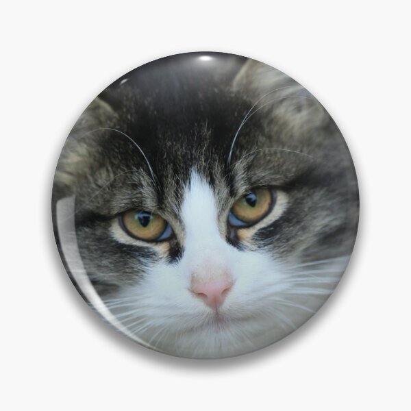 Item preview, Portrait of cute street kitten designed and sold by olena2552.