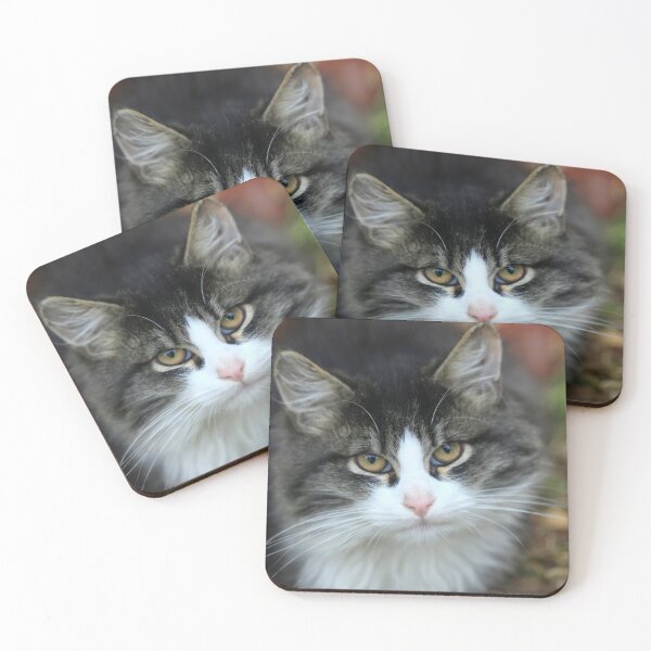 Item preview, Portrait of cute street kitten designed and sold by olena2552.
