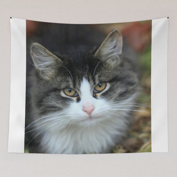 Item preview, Portrait of cute street kitten designed and sold by olena2552.