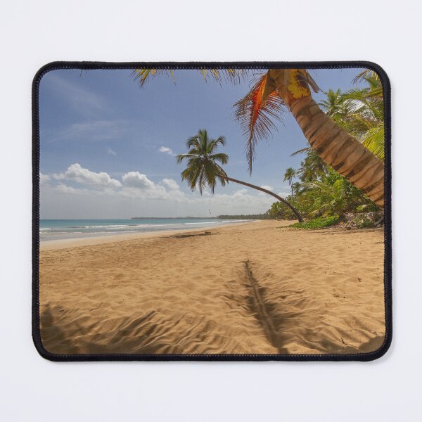 Item preview, Golden sands stretch along a tranquil beach, framed by lush palm trees that sway gently in the breeze designed and sold by EyezWatchin.