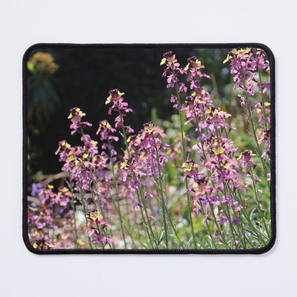 Item preview, Erysimum Flowers designed and sold by pinkal.