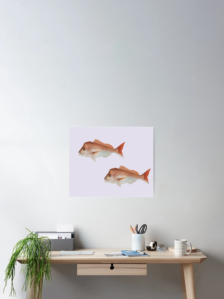 Thumbnail 2 of 3, Poster, Large Snapper designed and sold by Reelyfishing.