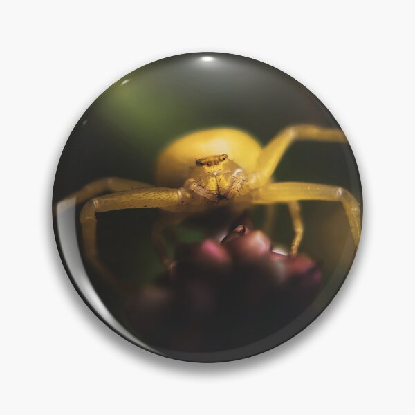 Item preview, The Yellow Crab Spider designed and sold by Kolmas-Paiva.