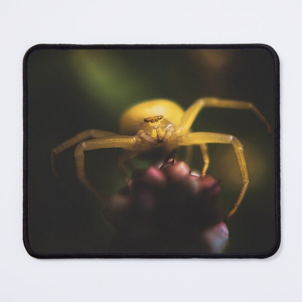 Item preview, The Yellow Crab Spider designed and sold by Kolmas-Paiva.