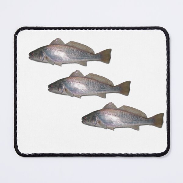 Item preview, Jewfish Galore! designed and sold by Reelyfishing.