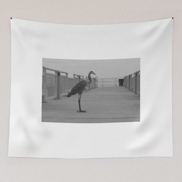 Item preview, A solitary heron stands on a deserted Fort DeSoto Florida USA designed and sold by EyezWatchin.