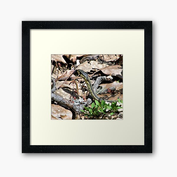 My Nemesis I Framed Art Print