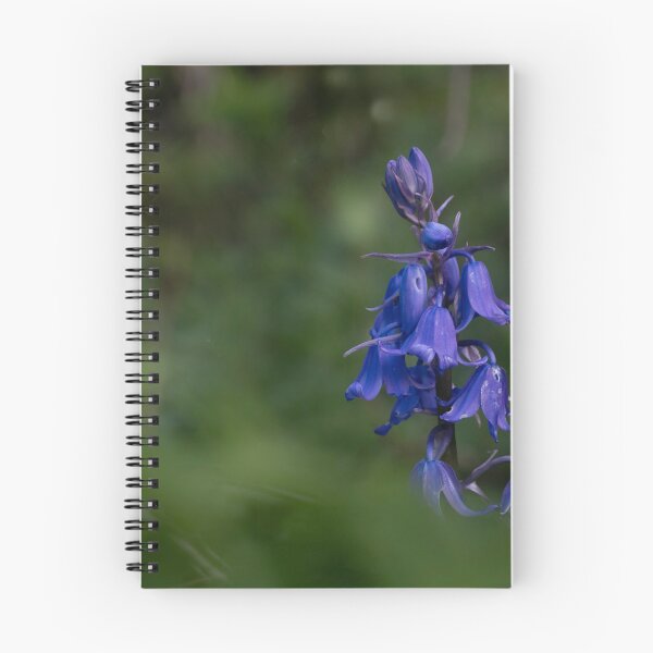Item preview, Bluebell landscape designed and sold by woolcos.