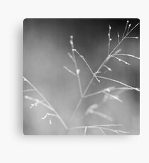 Mono weed Canvas Print
