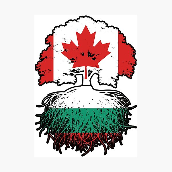 Item preview, Bulgaria Bulgarian Canadian Canada Tree Roots Flag designed and sold by FlagX.