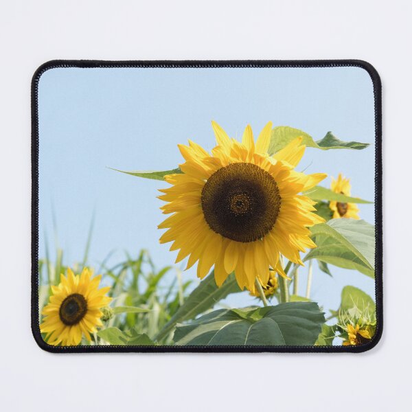 Item preview, Sunshiny Summery Sunflowers designed and sold by Georgia Mizuleva.